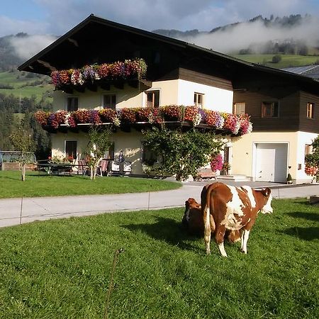 Rieserhof/Fam. Meissnitzer Taxenbach Dış mekan fotoğraf