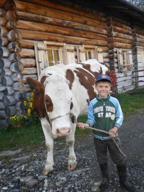 Rieserhof/Fam. Meissnitzer Taxenbach Dış mekan fotoğraf
