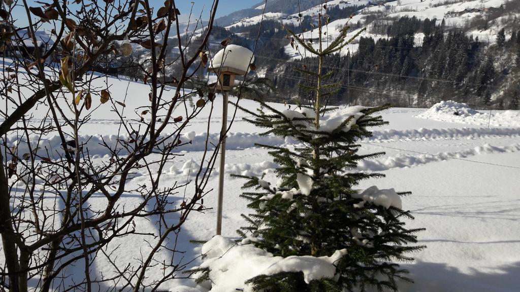 Rieserhof/Fam. Meissnitzer Taxenbach Dış mekan fotoğraf