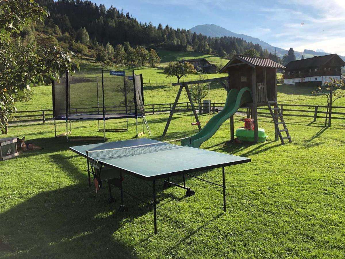 Rieserhof/Fam. Meissnitzer Taxenbach Dış mekan fotoğraf